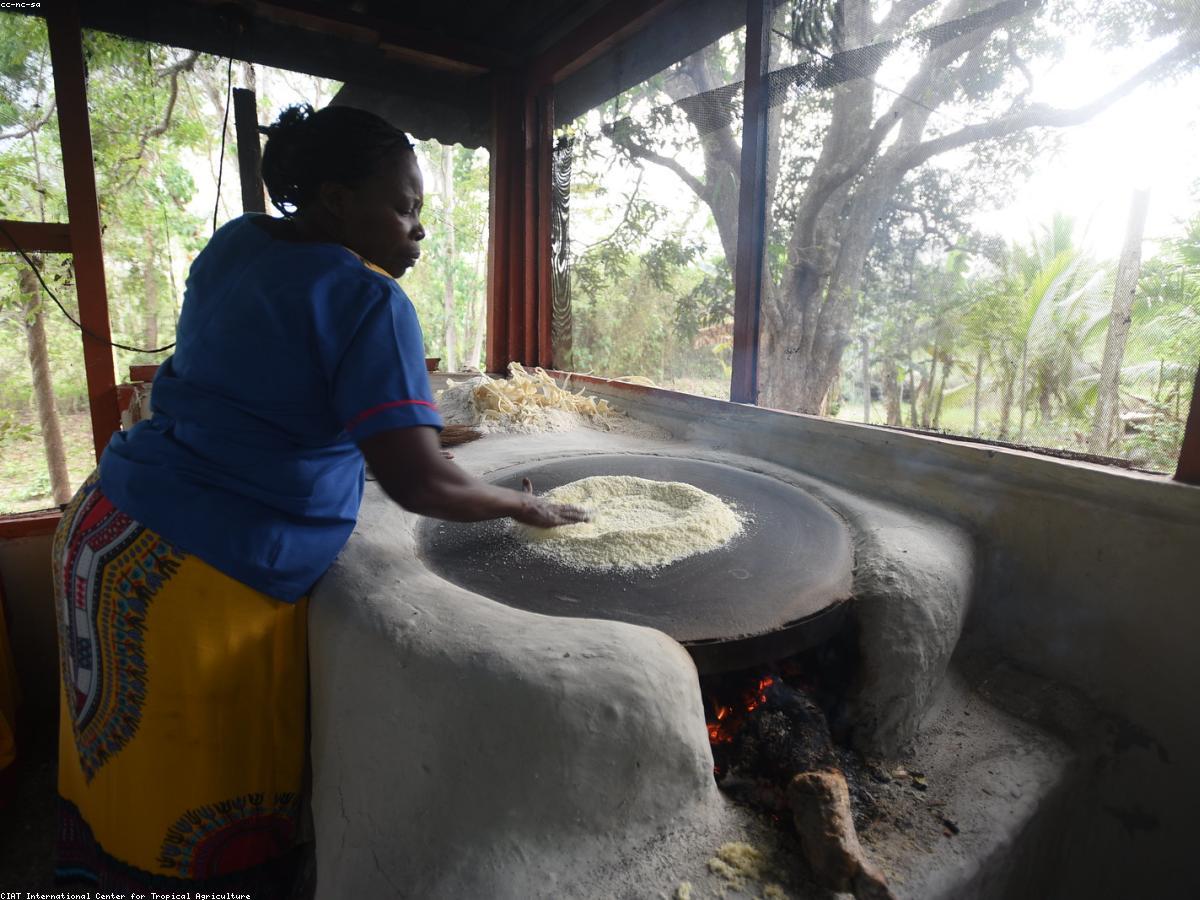Dried cassava pack